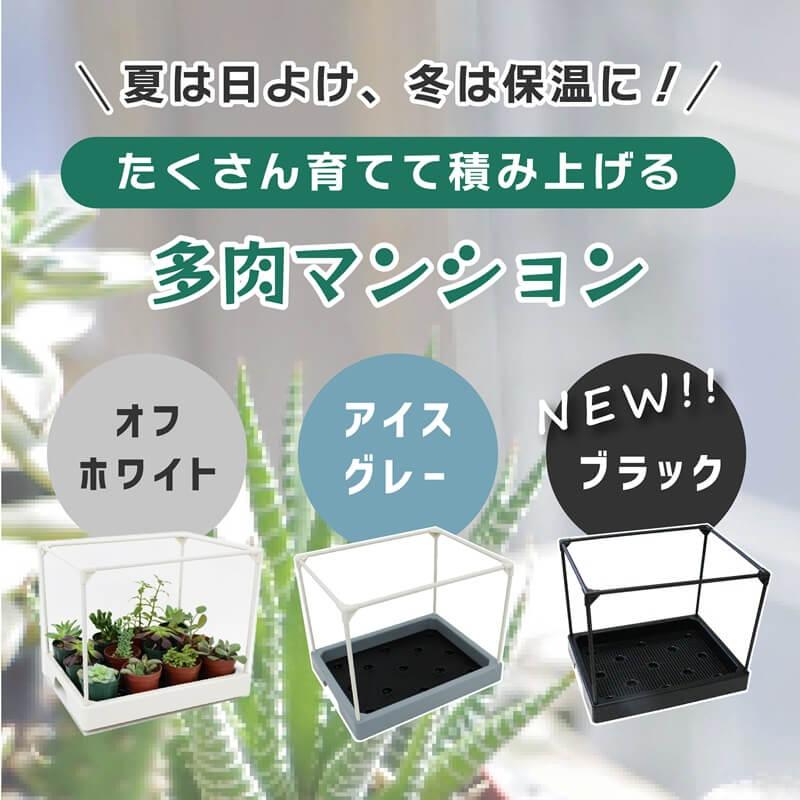 DAIM 多肉マンション 幅35cm×奥行き27cm×高さ28cm 全3色 オフホワイト