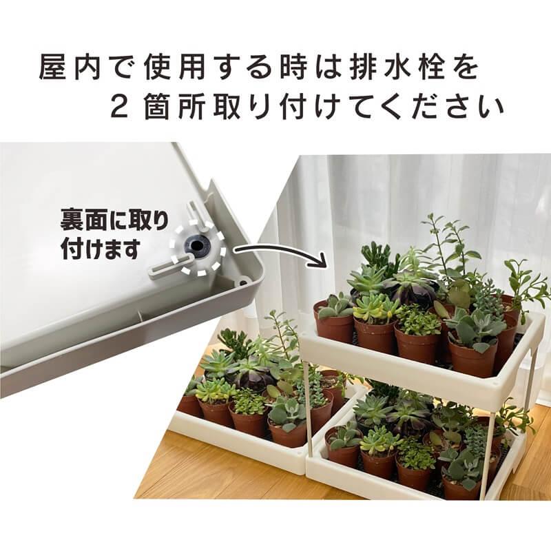 daim 多肉マンション 幅35cm×奥行き27cm×高さ28cm 全3色 オフホワイト アイスグレー ブラック 多肉植物 寄せ植え 棚 苗  簡易 温室 第一ビニール | DAIM | 10