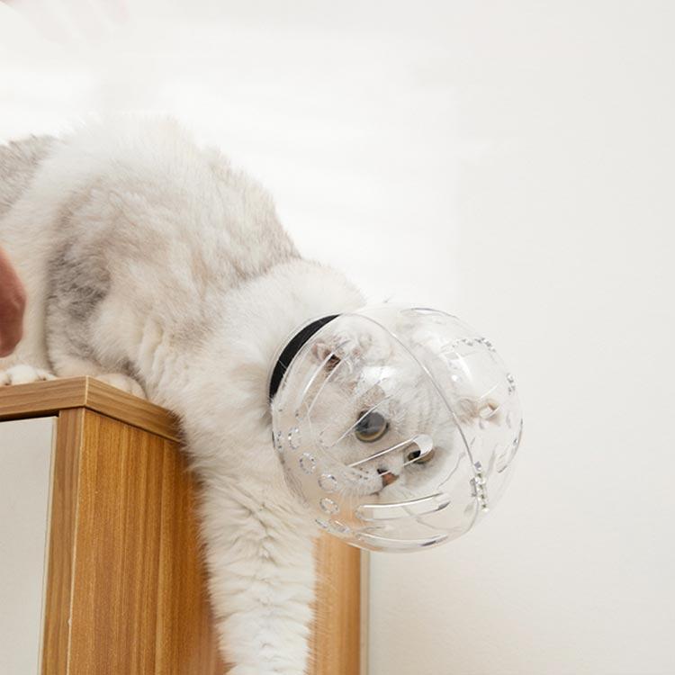 口輪 宇宙ヘッドギア口輪 透明 ペット口輪 エリザベスカラー 猫用 通気性 猫マスク 爪切り補助用 耳掃除 美容 ペット用品 お風呂 噛みつき防止 拾 |  | 02