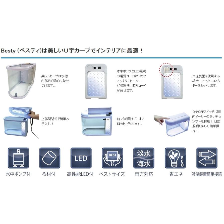 ゼンスイ 卓上インテリア小型水槽 Besuty ベスティ B01gaw7ab8 大丸商事ヤフー店 通販 Yahoo ショッピング