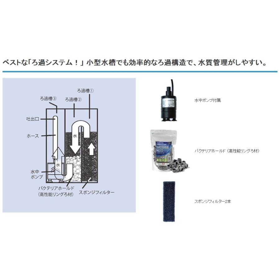 ゼンスイ 卓上インテリア小型水槽 Besuty ベスティ B01gaw7ab8 大丸商事ヤフー店 通販 Yahoo ショッピング