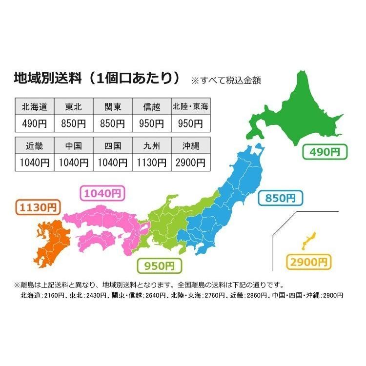 ファンタ プレミアレモン 380mlPET×24本|daimarudenki|04