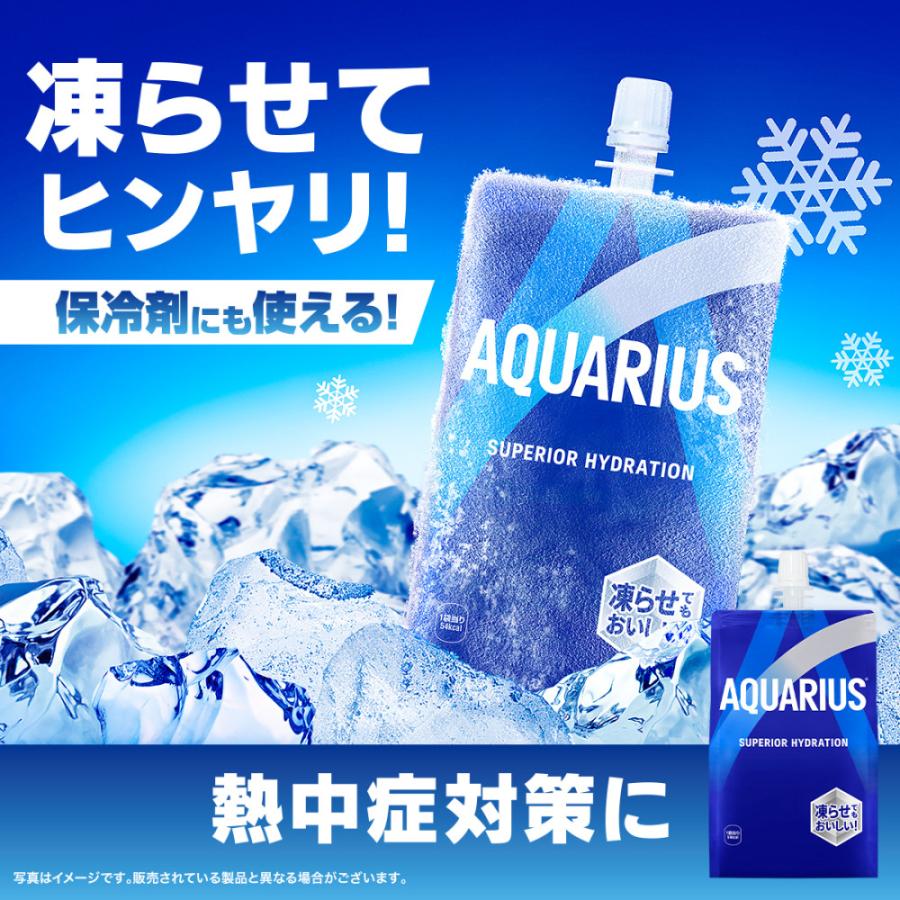 アクエリアス ハンディパック 300g×30本 : 大丸電機工業 - 通販