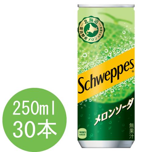 メロンソーダ シュウェップス メロンソーダ 250ml缶×30本 : 大丸電機工業 - 通販
