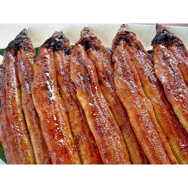国産炭火蒲焼うなぎ　大（140g〜160g）２尾 | 