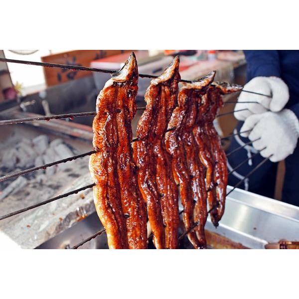翌日お届け！国産活けうなぎ炭火蒲焼・白焼き　大（１３５ｇ〜１６０ｇサイズ）各１尾セット | 