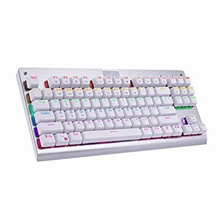 HUO JI E-Yooso Z-77 Mechanical Gaming Keyboard with Rainbow LED Backlit, Bl