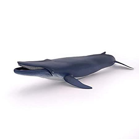 Papo- Baleine Bleue lunivers Marin Animaux Figurine， 56037， Multicolore