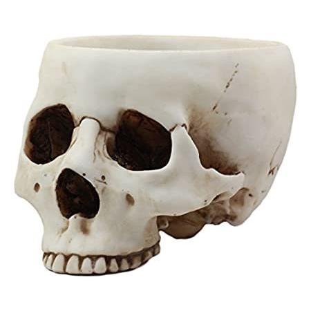 品数豊富！ Bone Dead The of Day Gift Ebros Skull Skelet Long 6.75" Figurine Bowl Treat オブジェ、置き物