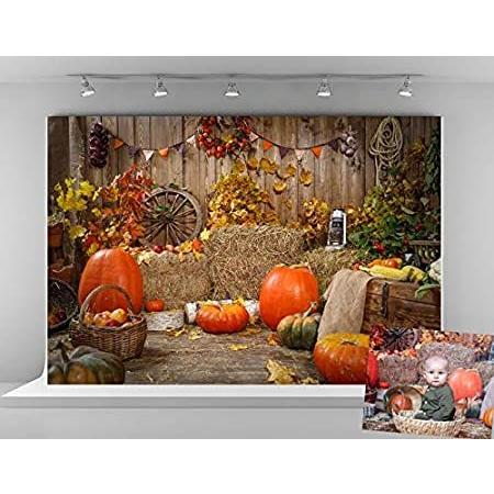 ハロウィン背景 B07vcy8st6 Dik Onlineshop 通販 Yahoo ショッピング