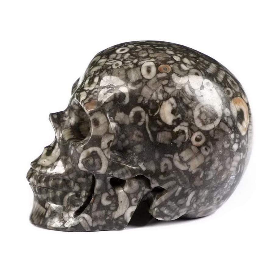 Skullis クリノイド化石クリスタルスカル 手彫りの宝石美術彫刻 レイキヒーリングストーン像 2インチ B07wgxxr9w Dik Onlineshop 通販 Yahoo ショッピング
