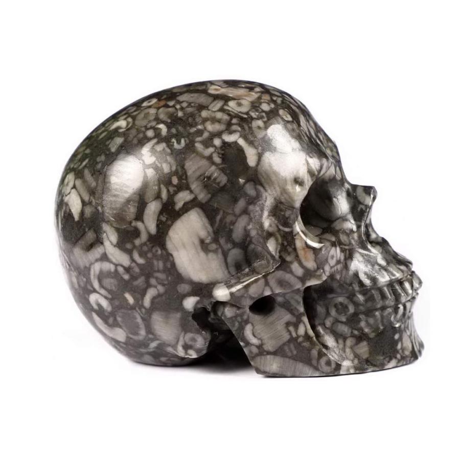 Skullis クリノイド化石クリスタルスカル 手彫りの宝石美術彫刻 レイキヒーリングストーン像 2インチ B07wgxxr9w Dik Onlineshop 通販 Yahoo ショッピング
