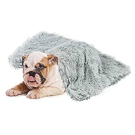 引きクーポン発行中 Whollyupプレミアムペットフリースブランケット ふわふわ犬猫毛布 柔らかくて暖かい子犬毛布カバー 犬猫ふわふわ毛毛布 スリープマット ダブルレイ オンラインストア格安 Www Web Imperiovizar Com