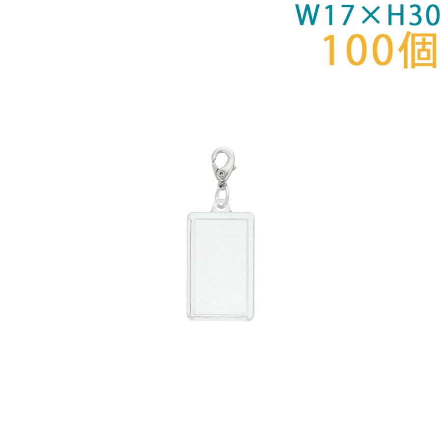 Dr.STONE Loft ロフト アクリルネームバッジ ゼノ スタンリー