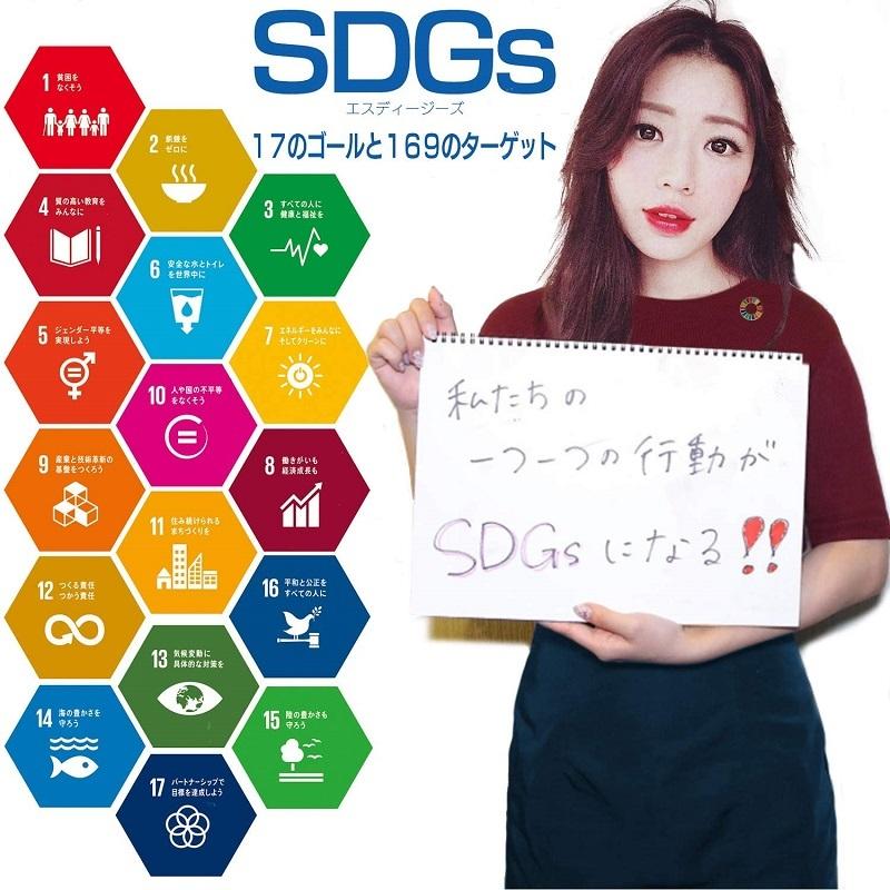 SDGs バッジ ピンバッジ バッチ バッヂ  国連 ガイドライン対応 17の目標 (平型) 5個 セット｜daiou88888｜02