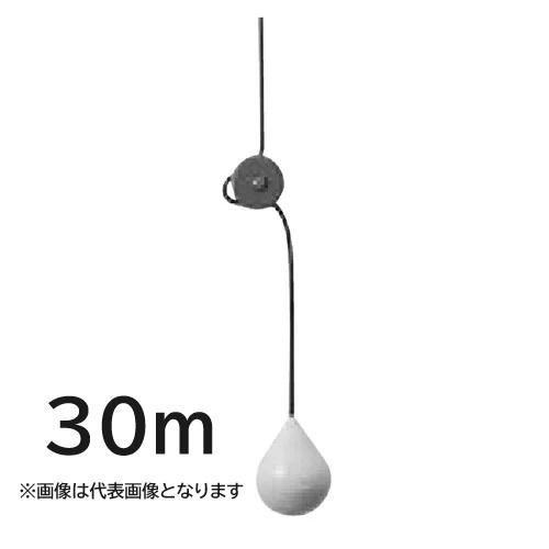 FS2-A 30m 在庫限り テラル TERAL フリースイッチ A接点 ケーブル30m