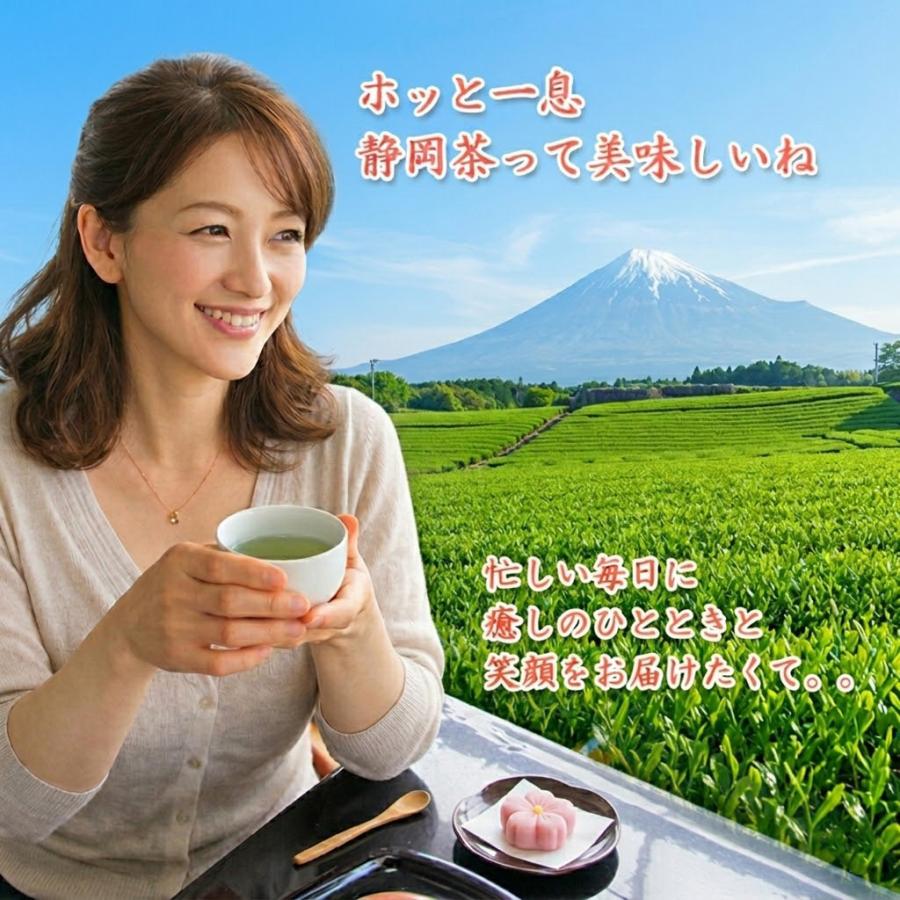 静岡県産 製茶問屋 茶商 セレクト 徳用 深蒸し茶 深緑 100g 3本 パック