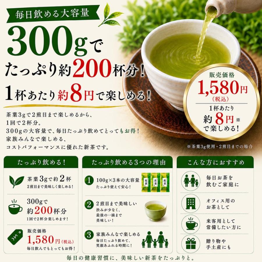 静岡県産 製茶問屋 茶商 セレクト 徳用 深蒸し茶 深緑 100g 3本 パック
