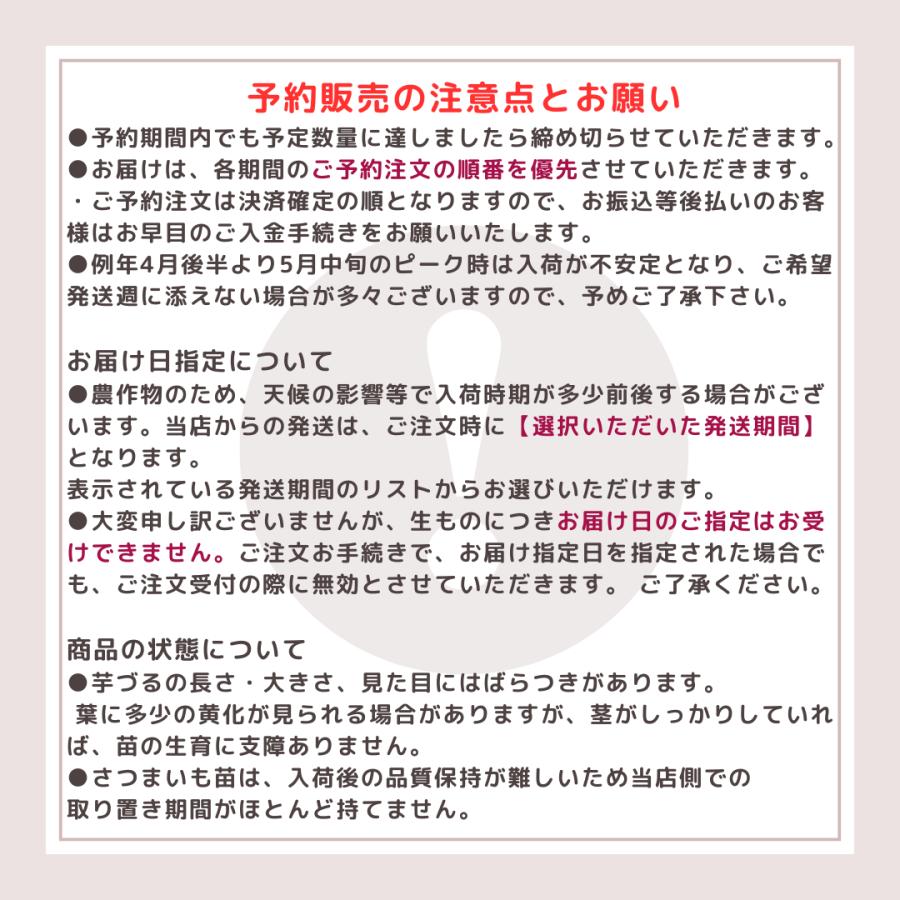 令和7年度 切り苗 予約受付中 登録品種(PVP)ウィルスフリー苗 令和7年度 切り苗 予約受付中 登録品種(PVP)ウィルスフリー苗