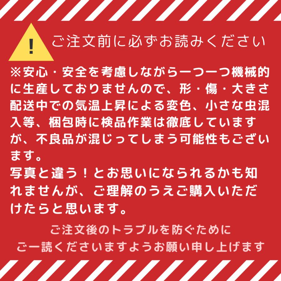 長ネギ苗 長ねぎ苗 100本 なべちゃんゴールド 1本ねぎ 家庭菜園 長ネギ苗 長ねぎ苗 100本 なべちゃんゴールド 1本ねぎ 家庭菜園