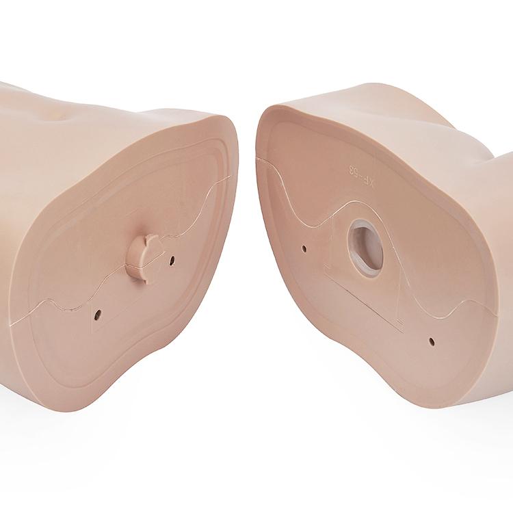 全身マネキン レディース 173cm 【9号サイズ】 B81×W61×H85cm 肩幅40cm