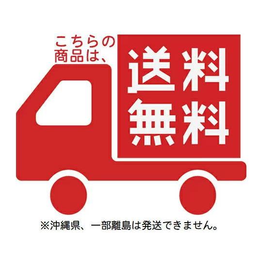 ひざ上トルソー レディース 高さ72cm 【9号サイズ】B86.5×W60