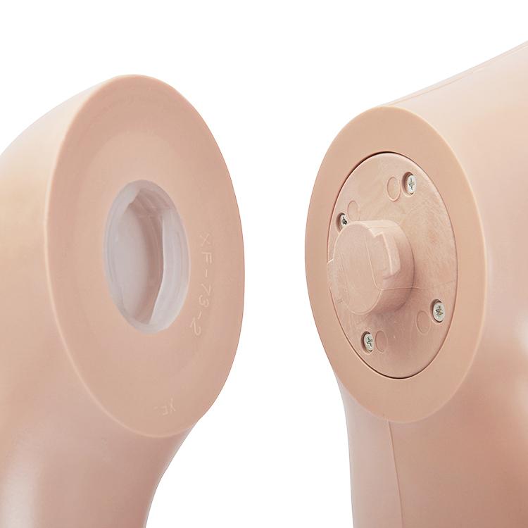 ひざ上トルソー メンズ 高さ115cm 【Y体】 B98×W76×H94cm 男性用