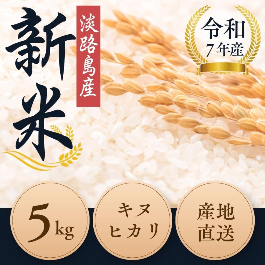 送料無料】新米！令和7年産 淡路島産 キヌヒカリ 米 5kg 産地直送 冷め 