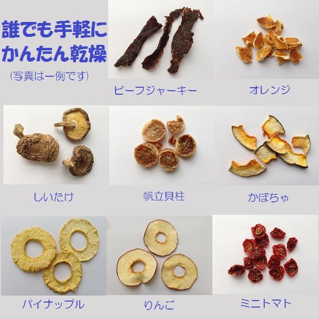 ＜送料無料＞東明テック 家庭用食品乾燥機 プチマレンギ TTM-435S 乾燥野菜・ドライフルーツなどご家庭で簡単に！ P11倍 4571464770014【TT】_1