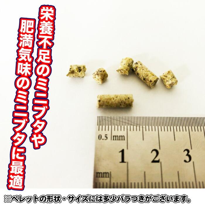 ミニブタ飼料 20kg 【再利用米袋使用】 ミニブタ ペレット マイクロブタ ビタミン ミネラル 繊維が豊富 ミニブタ フード 飼料 ペレット 送料無料【DBP】|daishin-bussan2|02