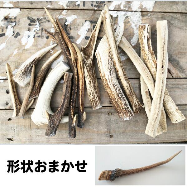天然　エゾ鹿角　約80cm 犬【形状おまかせ】国産 天然 鹿角(エゾ鹿) 1本 サイズ：M(約15cm