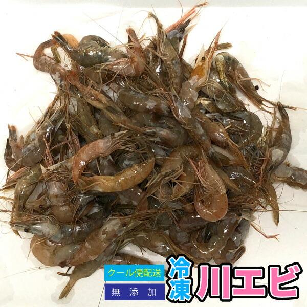 冷凍 川エビ 【500g】天然 川エビ かわえび 熱帯魚 餌 肉食 かめ 大型魚 水棲カメ用 海老 エサ 餌【クール便配送】 ※別途クール便 ...