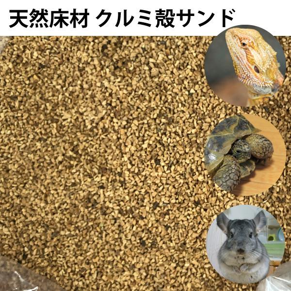 爬虫類 小動物 クルミ殻サンド 5kg くるみ殻 トイレ砂 両生類 ハリネズミ 床材 人気急上昇 敷き材 リクガメ サンド イグアナ トカゲ ウォール 4 4kg以上 細粒 Dbp