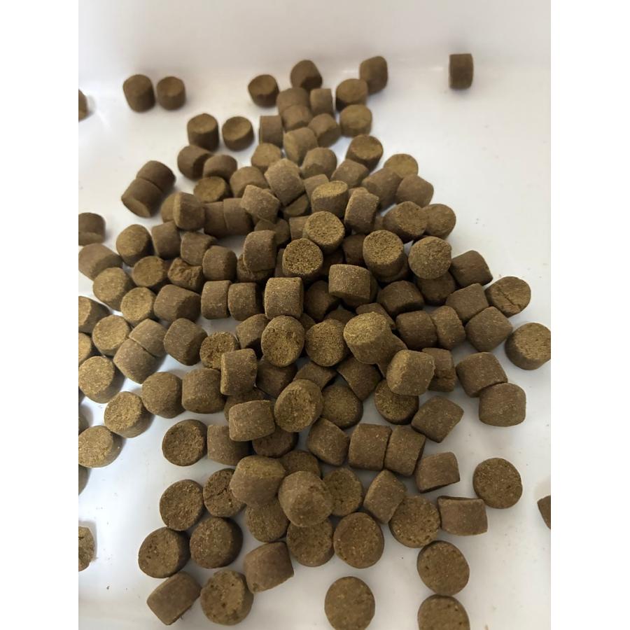 メール便送料無料 おとひめ EP-10 (10mm) 大粒 100g 沈降性 乙姫 魚