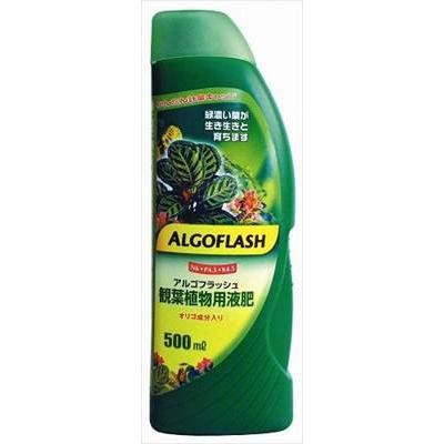 【アルパティオ】アルゴフラッシュ 観葉植物用液肥(500ml)/１個 【M】｜daishin-bussan3