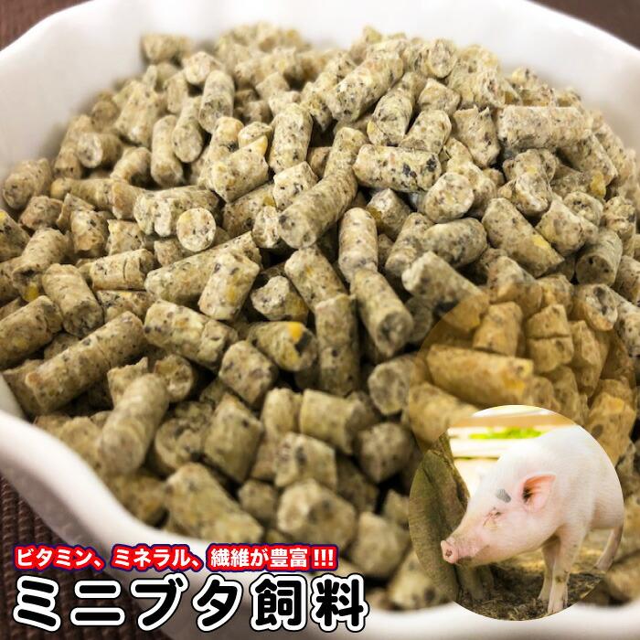ミニブタ飼料 20kg 【再利用米袋使用】 ミニブタ ペレット マイクロブタ ビタミン ミネラル 繊維が豊富 フード 飼料 送料無料【DBP ...