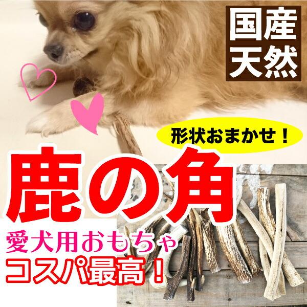 形状おまかせ】国産 天然 鹿の角 犬(丹波鹿) 1本 サイズ：S (約10cm