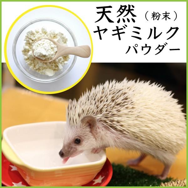 【増税により値上げはしていません】ハリネズミに最適 お徳用 ヤギミルクパウダー(粉末) 100g やぎみるく 山羊 ゴートミルク ペット 小動物 栄養 サプリ【PIJ】｜daishin-bussan3