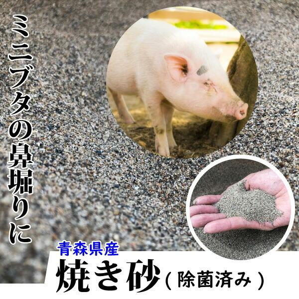 送料無料・邑楽ファーム】フトアゴサンド 2L/16袋セット 送料無料・邑楽ファーム】フトアゴサンド 2L/16袋セット