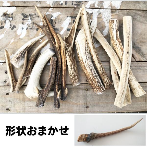 メール便送料無料 犬 形状おまかせ 国産 天然 鹿角 エゾ鹿 １本 サイズ M 約15cm cm 鹿の角 犬 鹿 Dbp Db Pet Ezoshika4 大伸物産yahoo ショップ 通販 Yahoo ショッピング