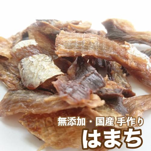 好評につき延長 増税により値上げはしていません 送料無料 犬 おやつ 無添加 手作りおやつ 国産 はまち 1kg 魚 ハマチ ペット ドッグフード ブリーダー Dbp 直営店限定 Promo Camping Corse Com