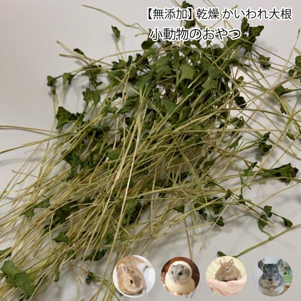 小動物のおやつ 国産 無添加 乾燥 かいわれ大根 2g 乾燥野菜 かいわれ スプラウト 無着色 ドライベジタブル 小動物 うさぎ ハムスター Dbp Dbp Kaiware2g 大伸物産yahoo ショップ 通販 Yahoo ショッピング