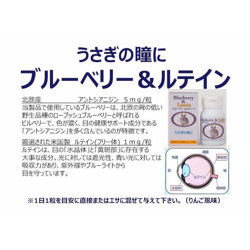 うさぎの瞳に うさぎ用 ブルーベリー ルテイン 60粒 約60日分 ウサギ サプリメント うさぎ専用サプリ アニマストラス 日本ビーエフ サプリ Bf Rabbit Bl60 大伸物産yahoo ショップ 通販 Yahoo ショッピング