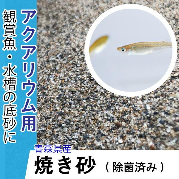 5kg めだか アクアリウム 底砂 焼き砂 高温除菌済み 国産サンド 翌日発送可能 送料無料 熱帯魚 観賞魚 メダカ 焼砂 飼育 Dba
