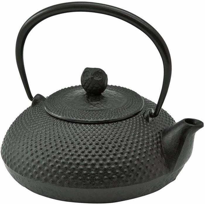 池永鉄工 鉄瓶 宝寿（ほうじゅ）  [D012103] 調理器具-キッチン、日用品、文具