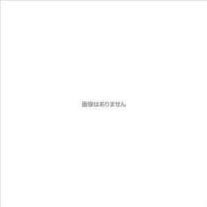スガツネ工業 SUGATSUNE （220026706）SL-TGH2-24-WNSLLED SL-TGH2-24-WNSL [861-140119]