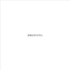オーツカ光学 オーツカ LED照明拡大鏡 ENVL-B型 2倍 ENVL-BX2 [917-919007]