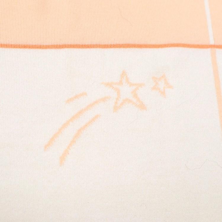 HERMES（エルメス） 【未使用】HERMES プレード ガブリオル