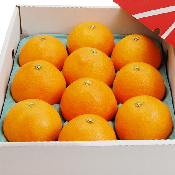 媛まどんな ギフト用 3ｋｇ |  | 01