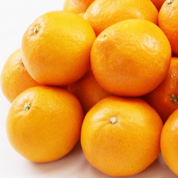 媛まどんな ギフト用 3ｋｇ |  | 02